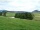 Devils Gate Road, Barrington Road, Barrington TAS 7306