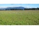 . Whitemore Road, Whitemore TAS 7303