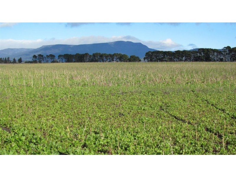 . Whitemore Road, Whitemore TAS 7303