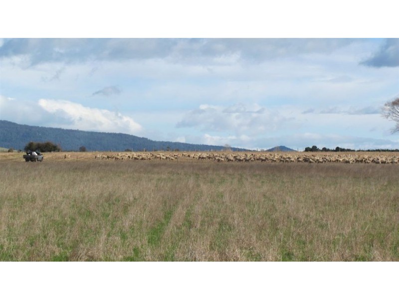 . Whitemore Road, Whitemore TAS 7303
