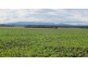 . Whitemore Road, Whitemore TAS 7303