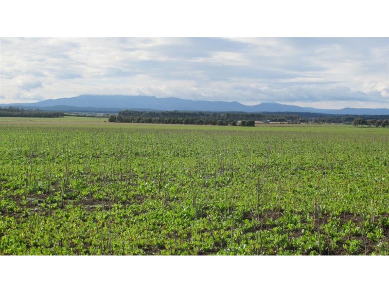 . Whitemore Road, Whitemore TAS 7303