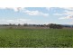 . Whitemore Road, Whitemore TAS 7303