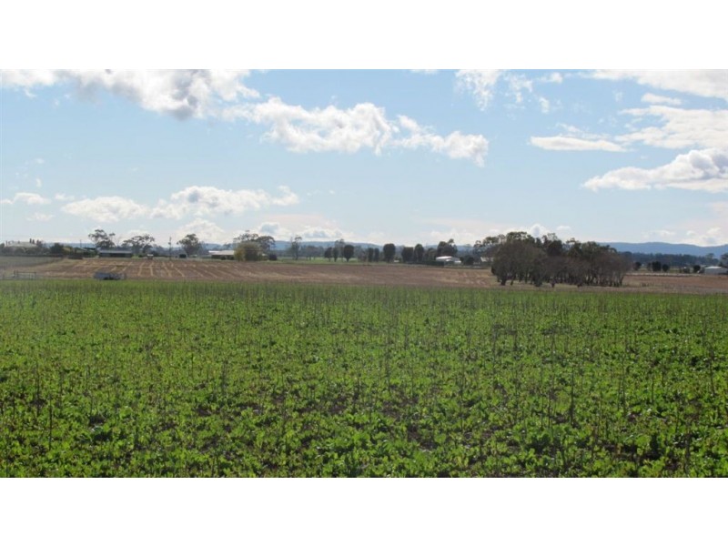 . Whitemore Road, Whitemore TAS 7303