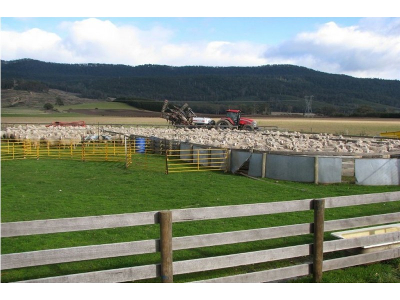 588 Cluan Road, Westbury TAS 7303