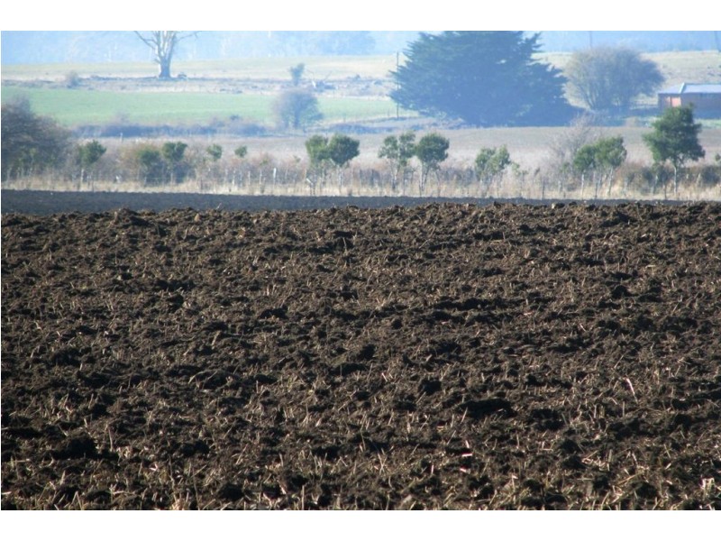 588 Cluan Road, Westbury TAS 7303