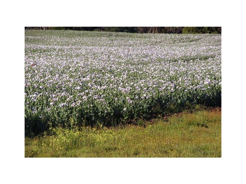 588 Cluan Road, Westbury TAS 7303