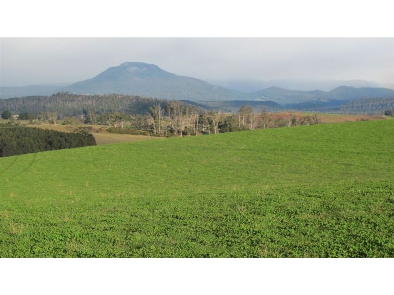 5093 Bass Highway, Deloraine TAS 7304