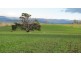 5093 Bass Highway, Deloraine TAS 7304