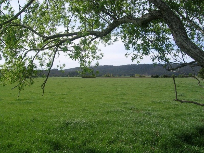 264 Meander Road, Meander TAS 7304