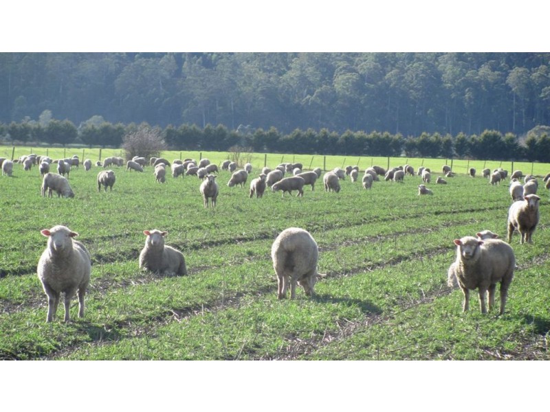 264 Meander Road, Meander TAS 7304