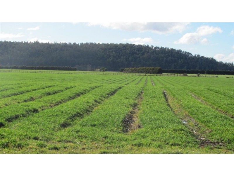 264 Meander Road, Meander TAS 7304