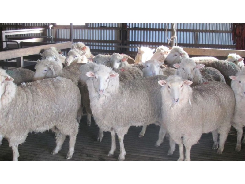 264 Meander Road, Meander TAS 7304