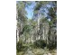 Lot 7 Cradle Mountain Road, Cradle Mountain TAS 7306