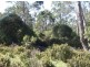 Lot 7 Cradle Mountain Road, Cradle Mountain TAS 7306