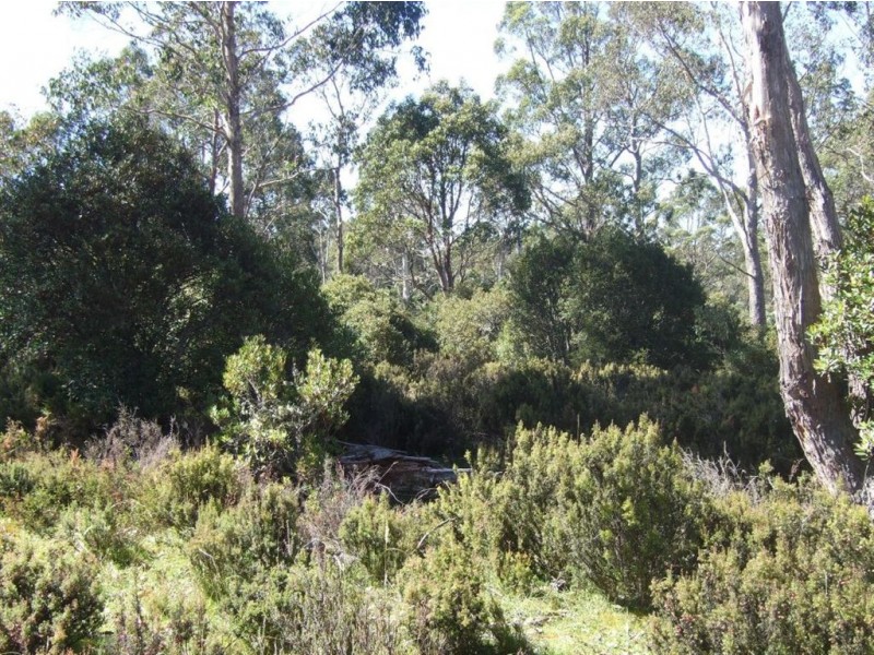 Lot 7 Cradle Mountain Road, Cradle Mountain TAS 7306