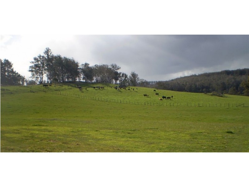 381 Wattle Hill, Tunnack TAS 7120