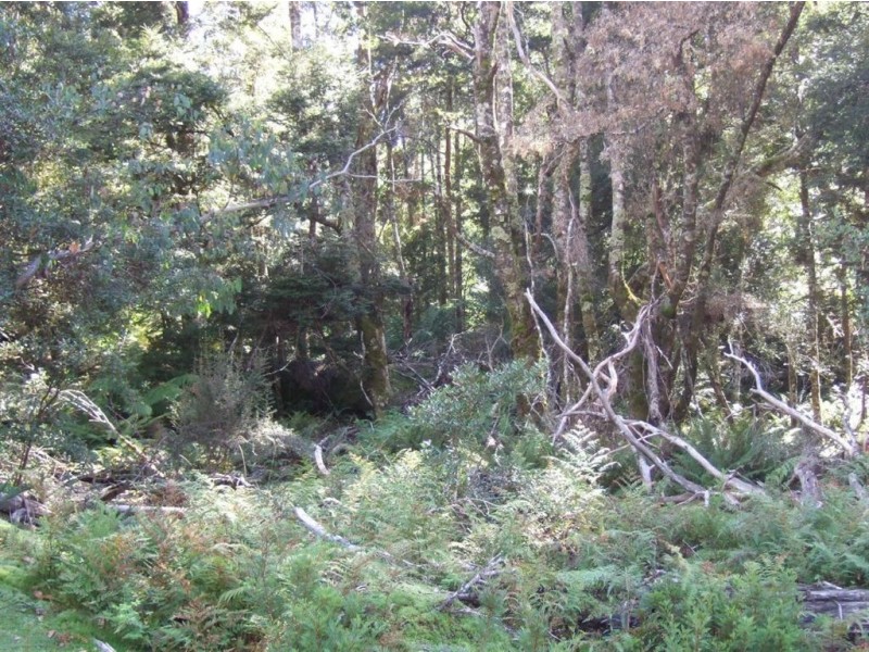 - Blairs Road, Mole Creek TAS 7304