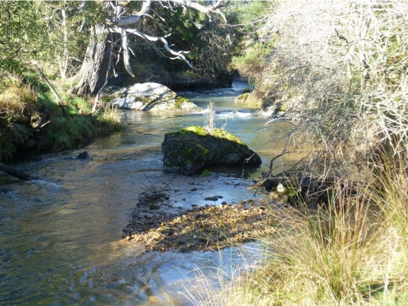 157 Scotts Road, Mole Creek TAS 7304