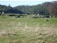 157 Scotts Road, Mole Creek TAS 7304