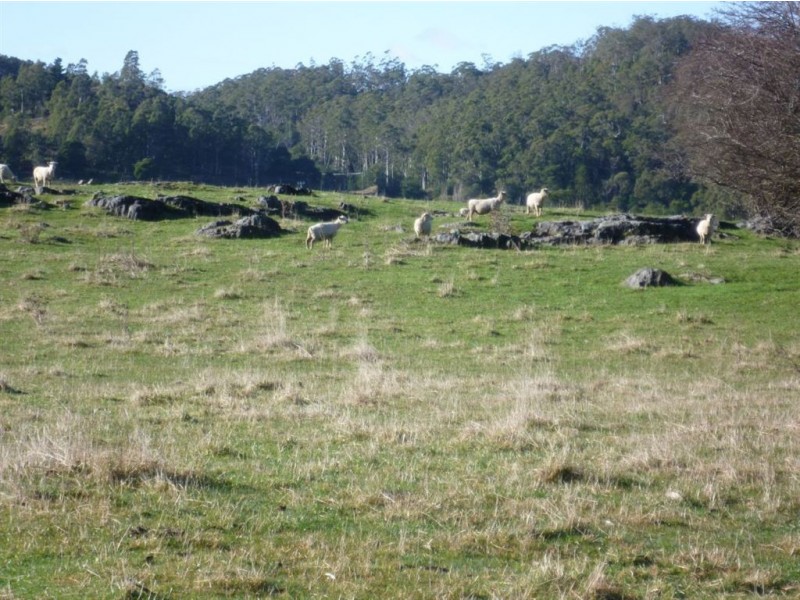 157 Scotts Road, Mole Creek TAS 7304