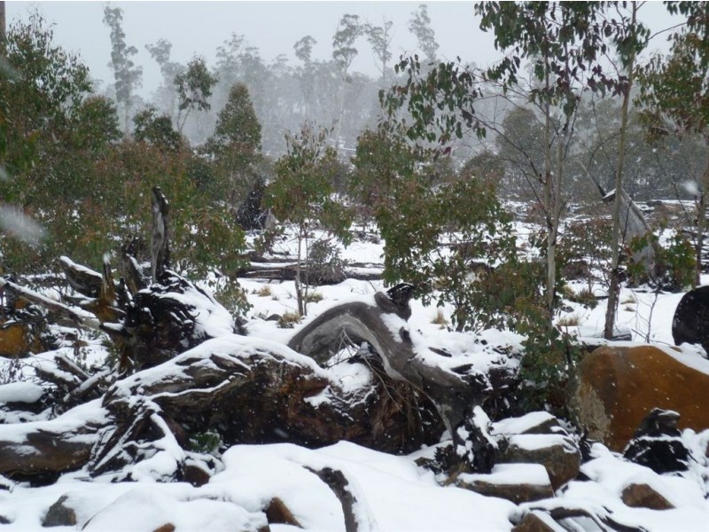 Arthurs Lake TAS 7030
