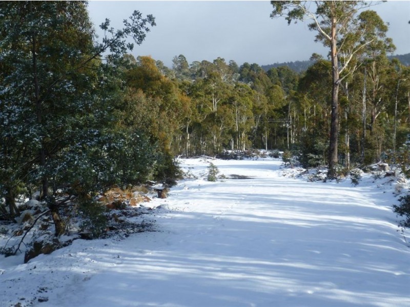 Arthurs Lake TAS 7030