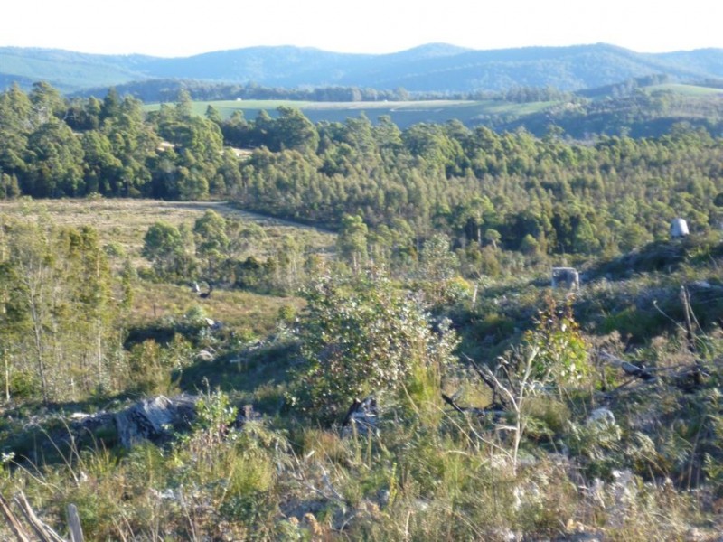 - Golconda Road, Nabowla TAS 7260