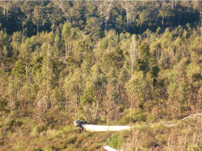 - Golconda Road, Nabowla TAS 7260