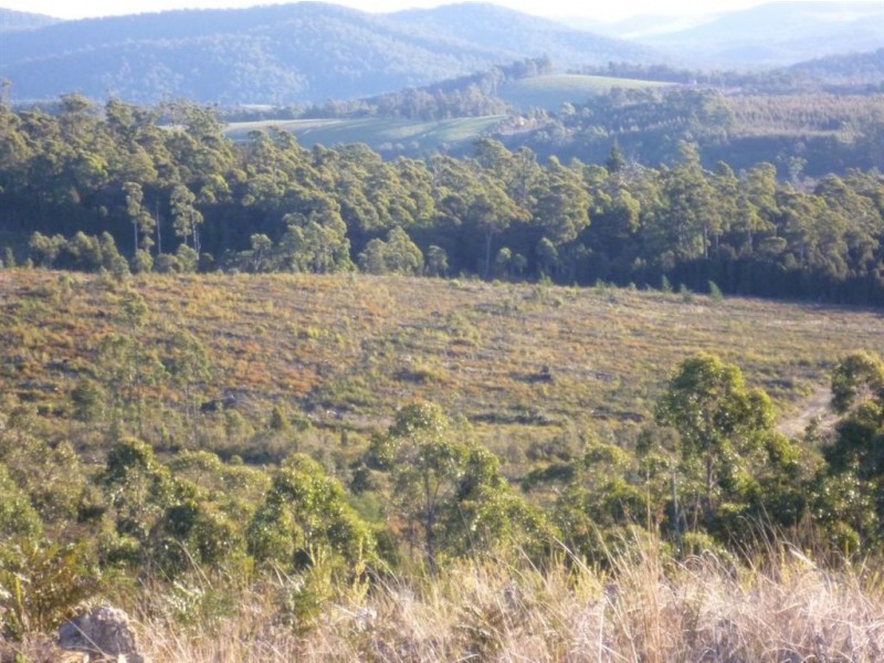 - Golconda Road, Nabowla TAS 7260