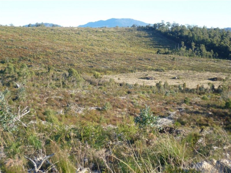 - Golconda Road, Nabowla TAS 7260