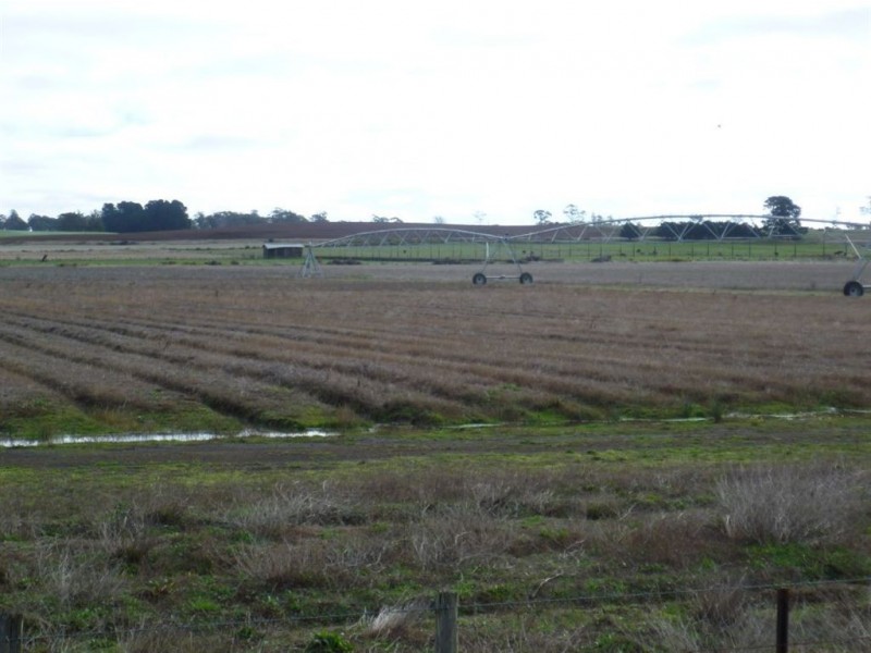 443 Armstrongs Lane, Cressy TAS 7302