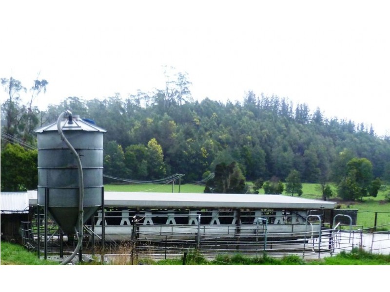 500 Lisle Road, Nabowla TAS 7260