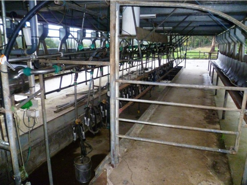 500 Lisle Road, Nabowla TAS 7260