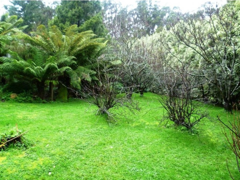 500 Lisle Road, Nabowla TAS 7260