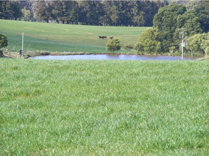 110 Masons Road, Milabena TAS 7325