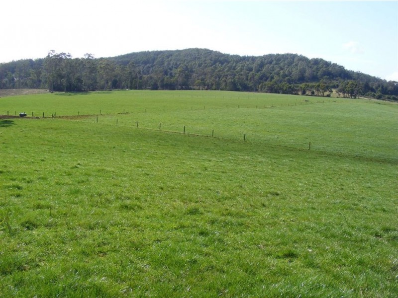 110 Masons Road, Milabena TAS 7325