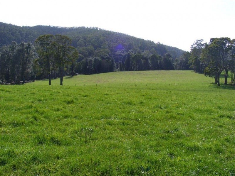 110 Masons Road, Milabena TAS 7325