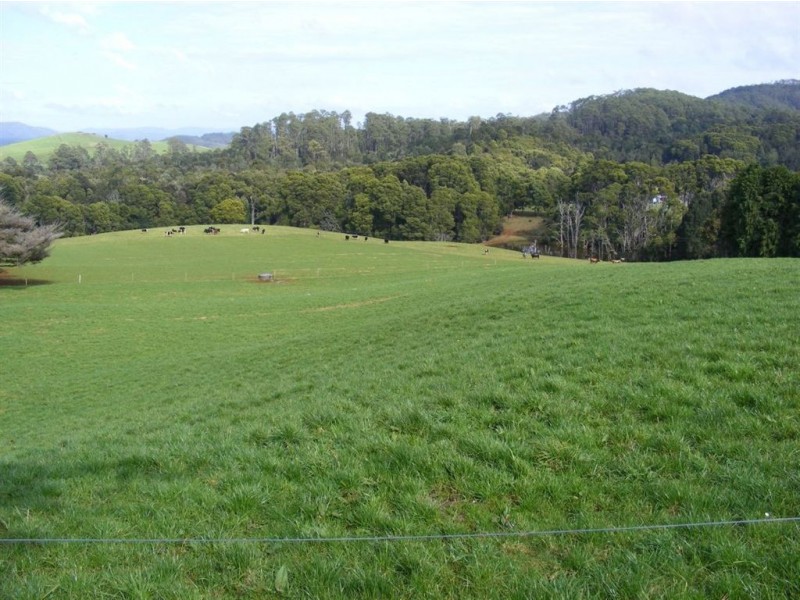 110 Masons Road, Milabena TAS 7325