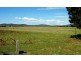 2620 Waterhouse Road, Waterhouse TAS 7262
