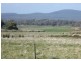 2620 Waterhouse Road, Waterhouse TAS 7262