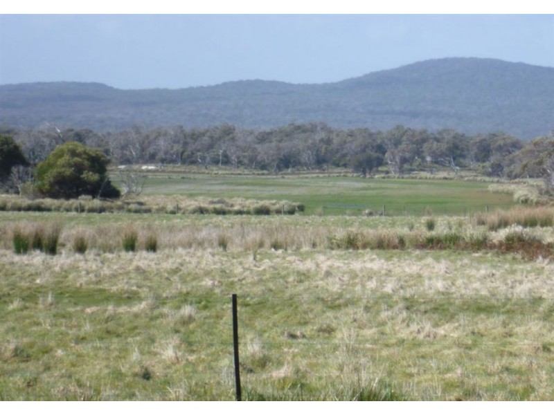 2620 Waterhouse Road, Waterhouse TAS 7262