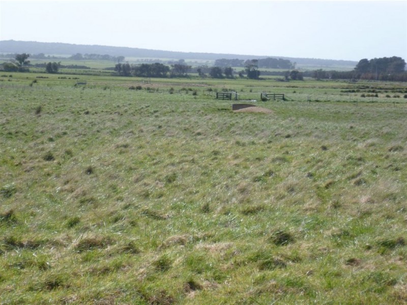 2620 Waterhouse Road, Waterhouse TAS 7262