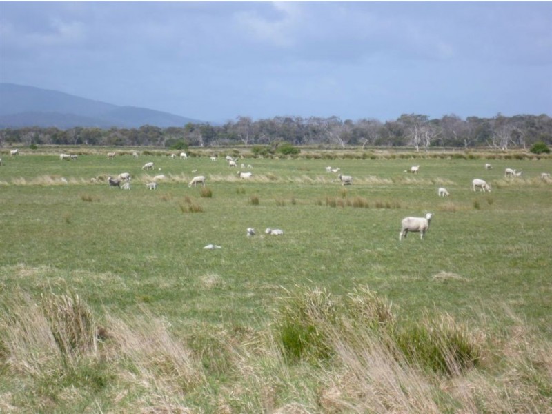 2620 Waterhouse Road, Waterhouse TAS 7262