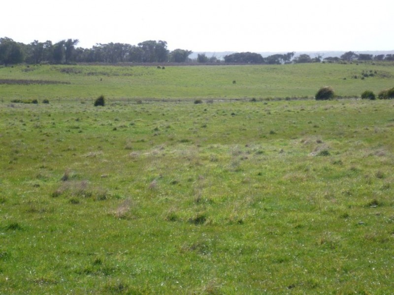 2620 Waterhouse Road, Waterhouse TAS 7262