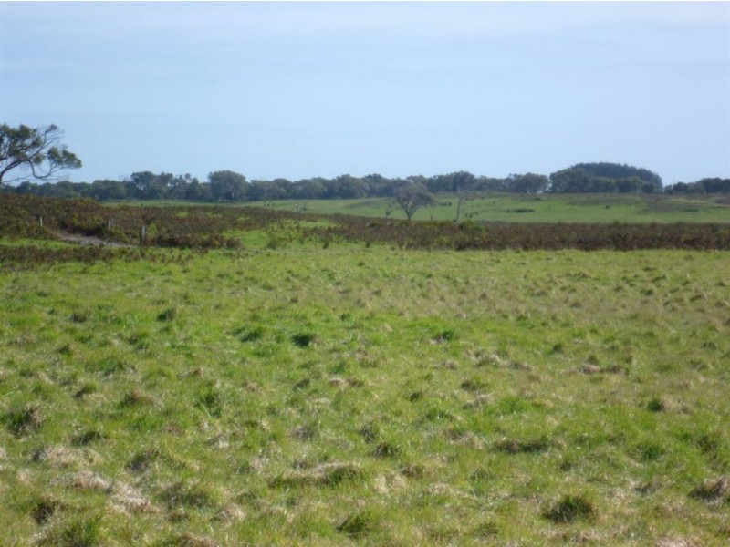 2620 Waterhouse Road, Waterhouse TAS 7262