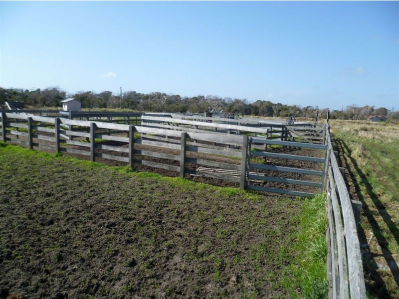 2620 Waterhouse Road, Waterhouse TAS 7262