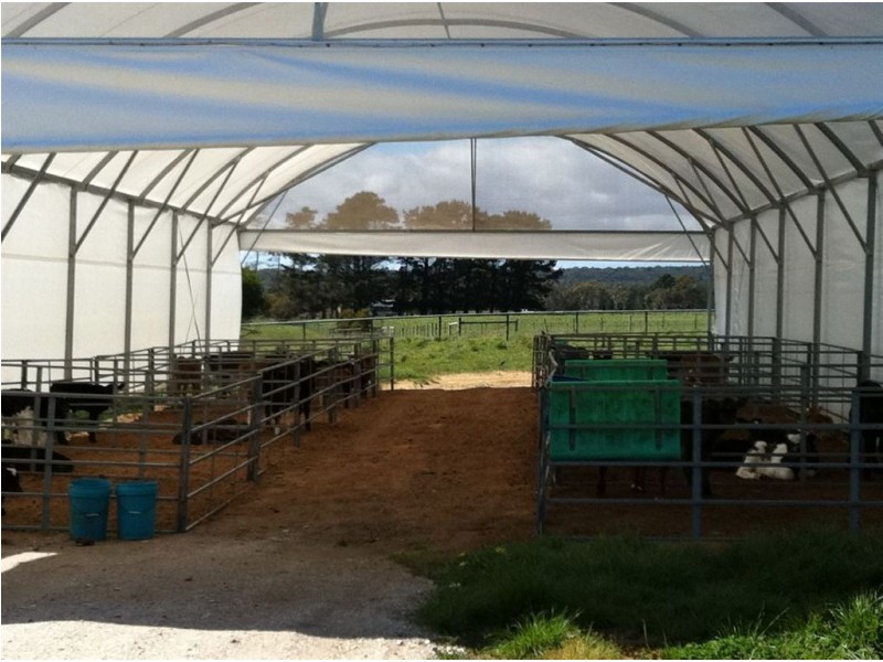 578 Sandy Points Road, Bridport TAS 7262