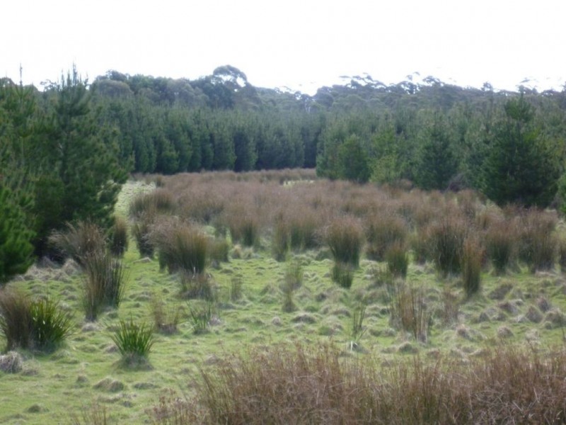 Follywood Bridport Road, Bridport TAS 7262