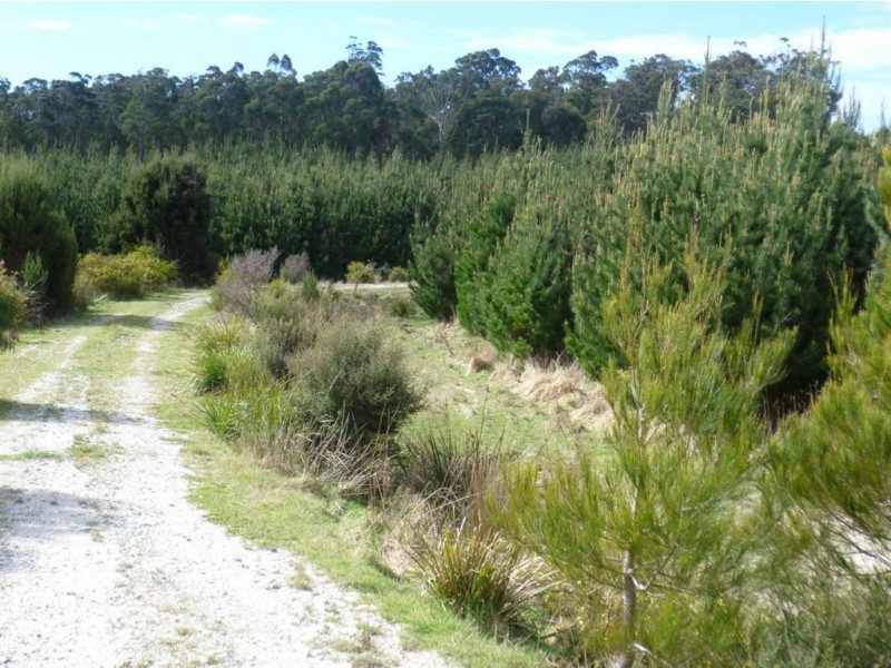 Follywood Bridport Road, Bridport TAS 7262